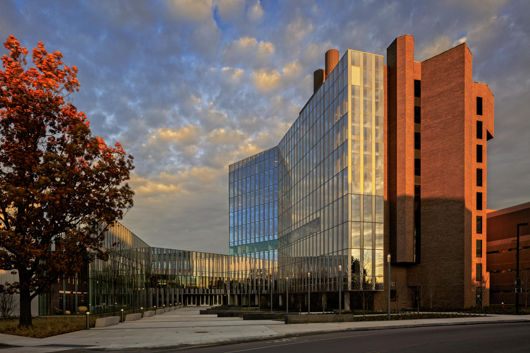 College of Veterinary Medicine Cornell University ... Ithaca, N.Y.